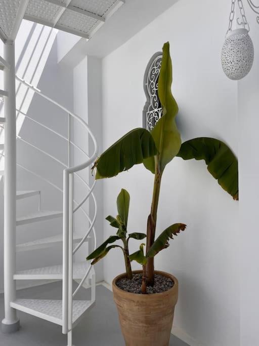 Casa Sira-Charming Home In The Heart Of The Kasbah Танжер Екстериор снимка